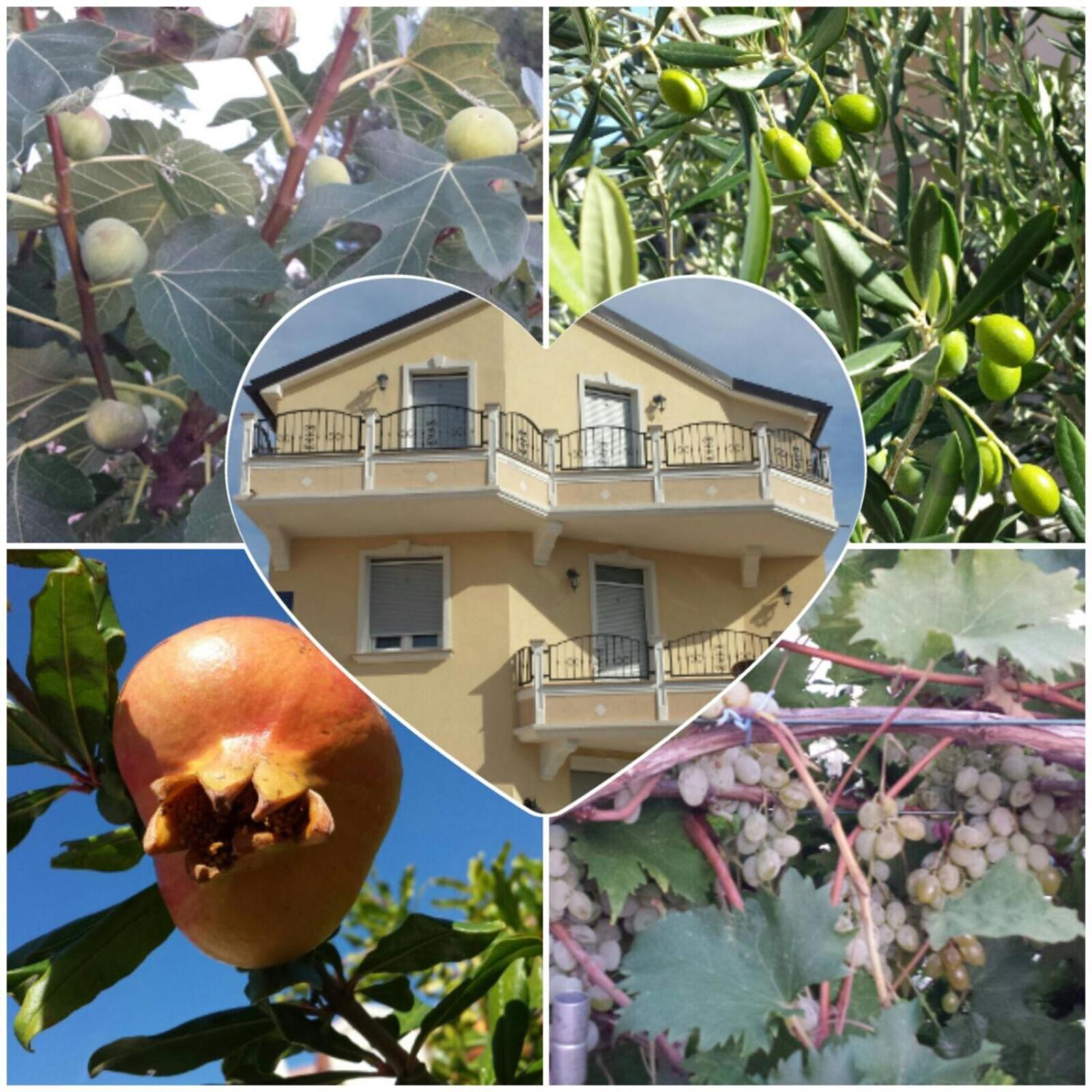 Villa Magdalena 沃迪切 外观 照片